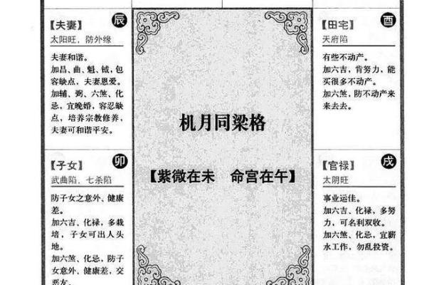 解紫薇斗数