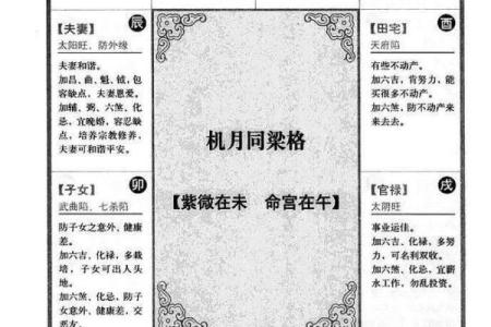解紫薇斗数