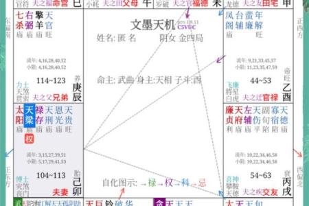 破碎紫微斗数 破碎紫微斗数夫妻宫？
