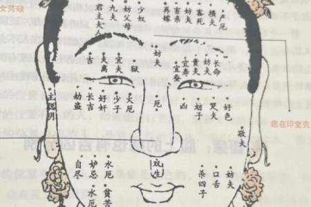如何从女人下巴面相算命