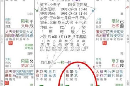 测测的紫薇斗数