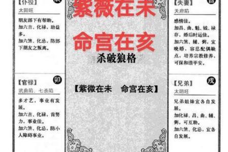 紫薇斗数命宫破碎
