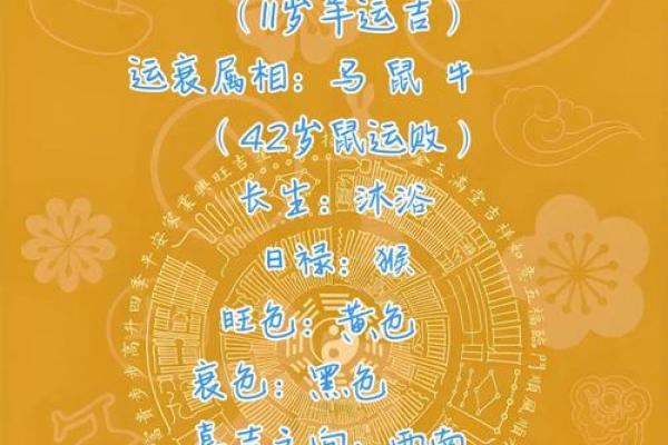 【5行八字算命】教你轻松预测未来，快速掌握人生方向！