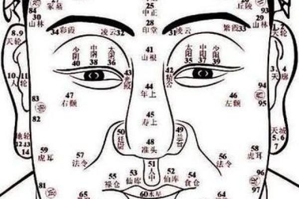 脸部黑痣算命图解