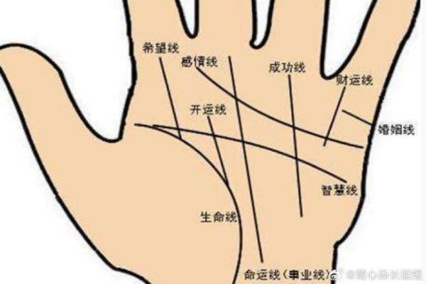 男人手相算命图解揭密男人命运