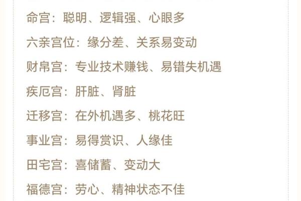 紫薇斗数代表什么