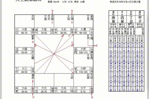 刘台柱紫薇斗数