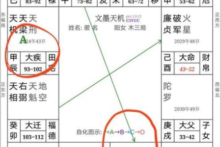 紫薇斗数中年龄
