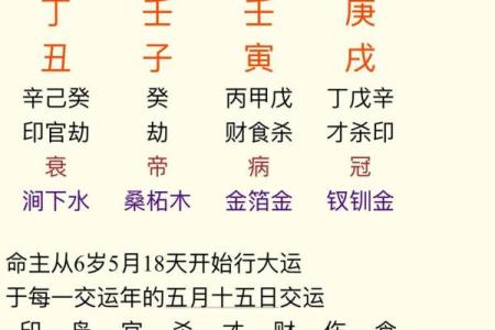 【5行八字算命】教你轻松预测未来，快速掌握人生方向！