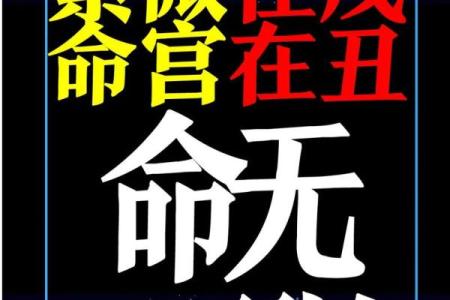 紫薇斗数不得地