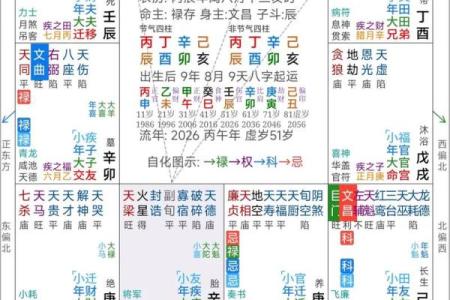 紫薇斗数代表什么