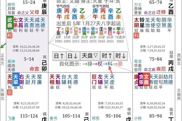 手机紫薇斗数app