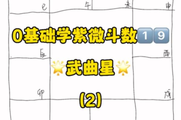 紫薇斗数大限武曲