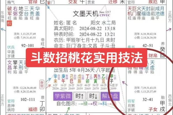 紫薇斗数看讨债