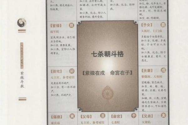 看紫薇斗数顺序