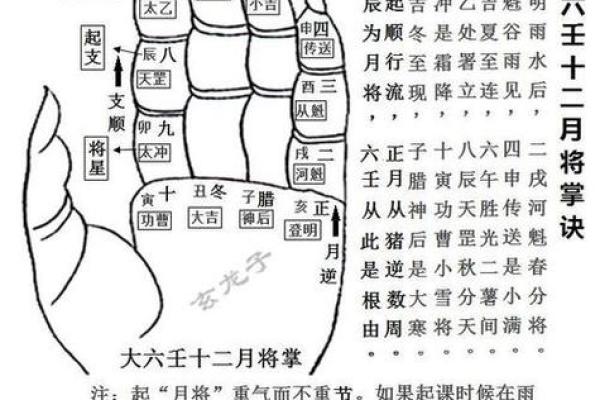 六壬跟紫微斗数区别 六壬跟紫微斗数区别是什么？