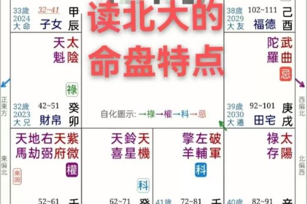 辰宫紫薇斗数