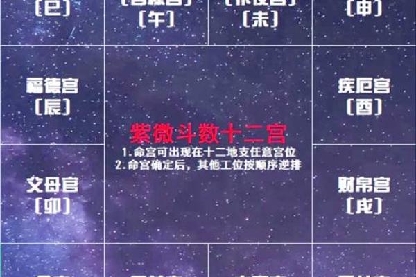 迁移宫看在外吉凶#紫微斗数教学