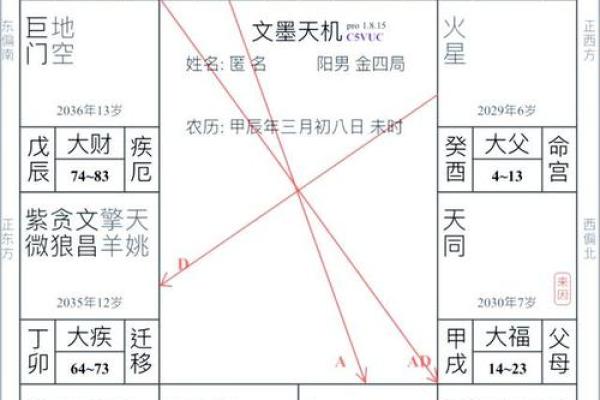 紫薇斗数命盘如何排