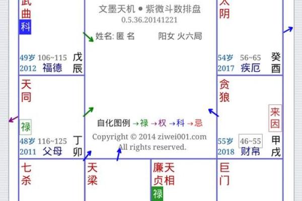 破紫薇斗数排盘