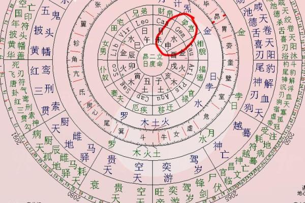 排紫薇斗数星盘
