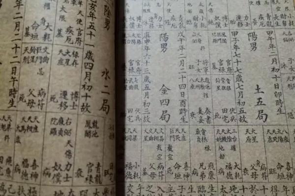 紫薇斗数紫薇独坐