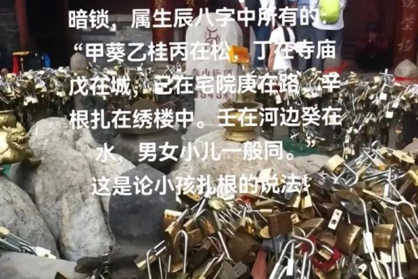 童子命在线排盘速查 根据生辰八字 得出查询结果