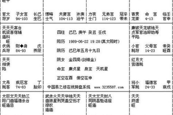 紫薇斗数网站在线排盘