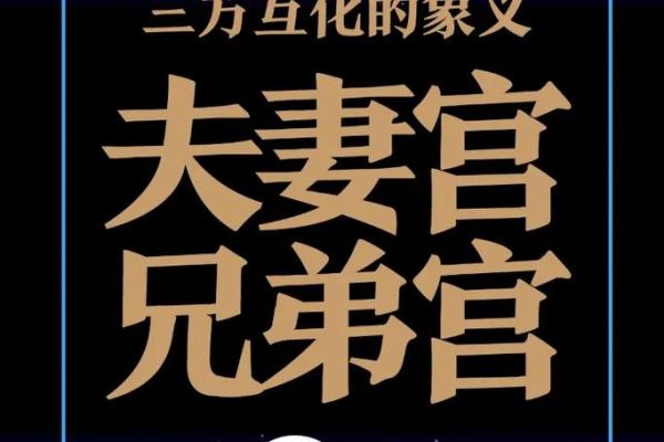 娶双妻紫薇斗数