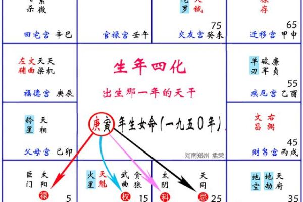紫薇斗数 得怎么解释
