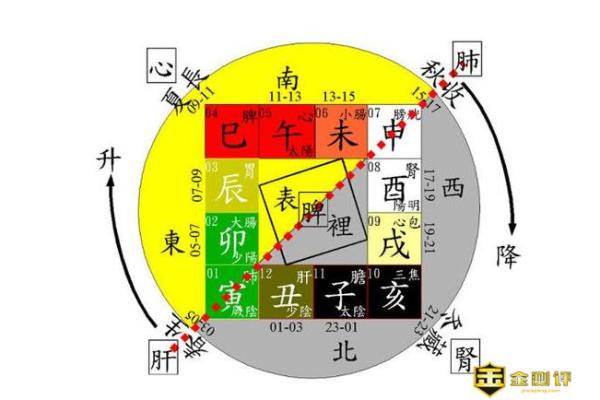 辰时出生不需要算命