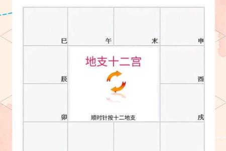 紫薇斗数命盘如何排