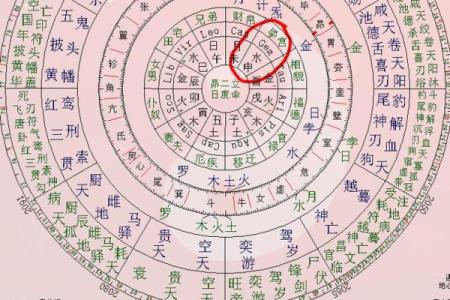 排紫薇斗数星盘