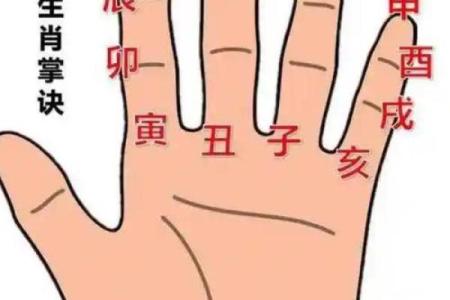 五指长短算命