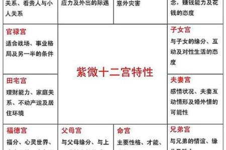 紫薇斗数宫职