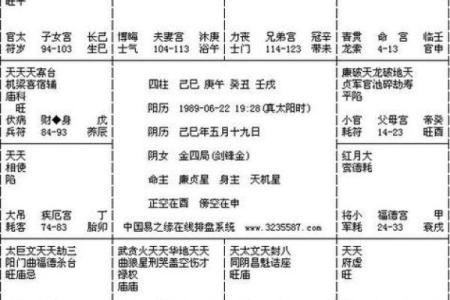 紫薇斗数网站在线排盘