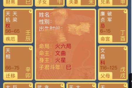 紫薇星入命宫平