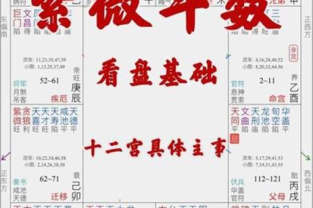 怎么排紫薇斗数