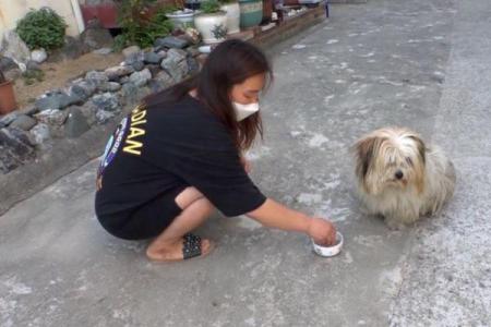 交城三狗算命