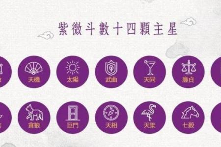 今天我们来聊聊紫斗中的天梁星，你的天梁星在哪呢#紫微斗数