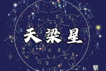 紫薇光线斗数