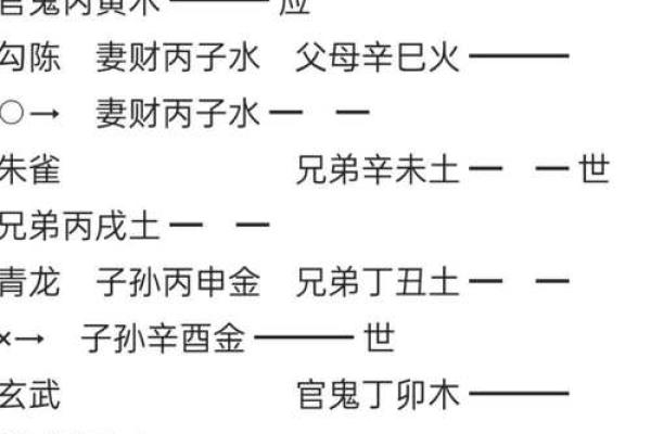 飞星紫微斗数用太岁入卦 紫微斗数太岁指什么？