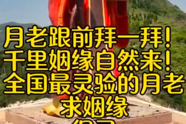 月老灵签求婚姻85签