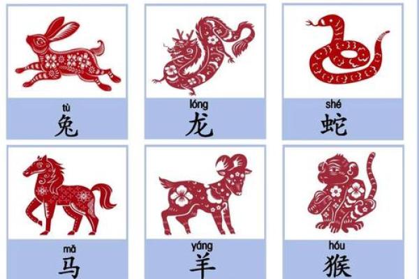 盘点十二生肖中天生爱犯贱的生肖排行
