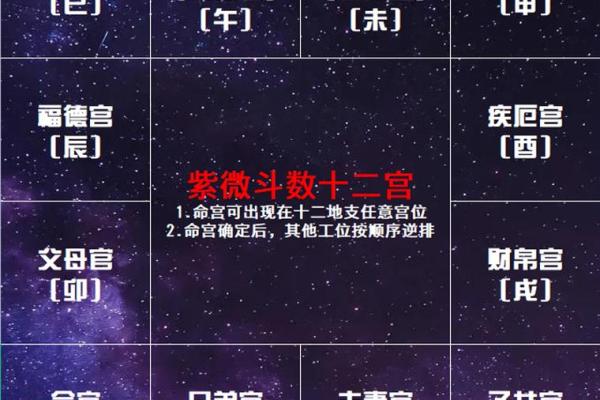 紫微斗数之:十二宫位 紫微斗数之:十二宫位