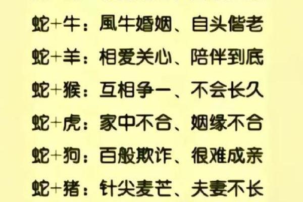 生肖配对指数 生肖配对指数真的准吗