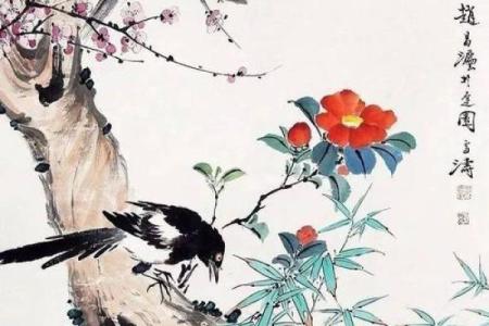 风水家里养喜鹊好吗