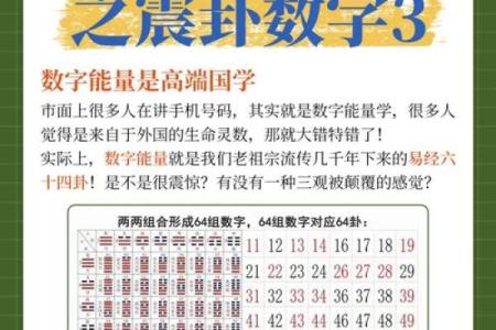 生命灵数3跟什么配对