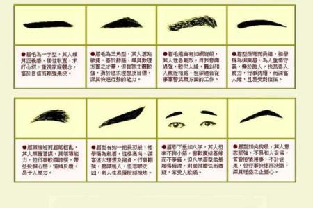 风水面相哪三种眉毛男人最好命