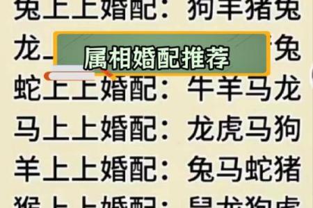 生肖羊的姓名配对大全 羊生肖配对婚姻配对？